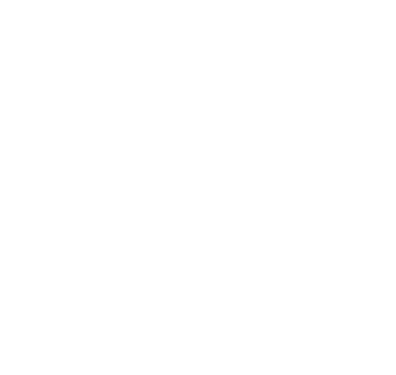 Partner-Secure-American-Insurance